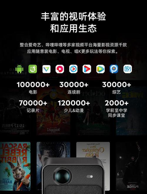 投影仪1305错误（解析投影仪1305错误代码及常见故障排除方法）