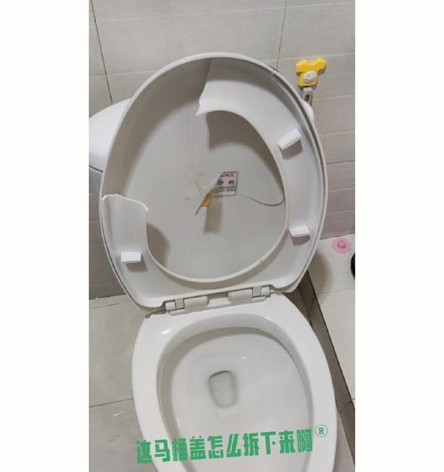 马桶吸盘使用技巧大全（解决马桶吸盘吸不住的常见问题及方法）