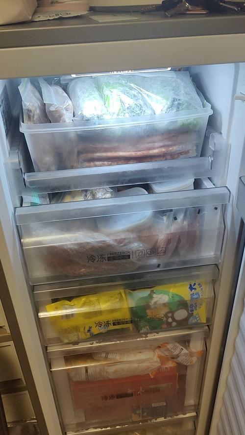 冰箱里冻了怎么处理（快速解决冻结食物问题）