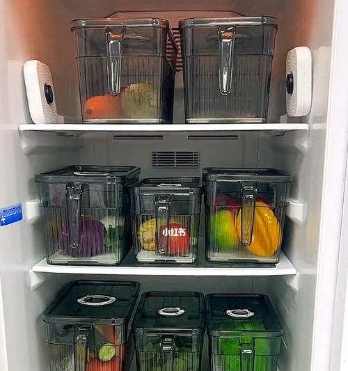 如何处理冰箱中散发异味的肉类（简单有效的方法让你不再为冰箱异味烦恼）