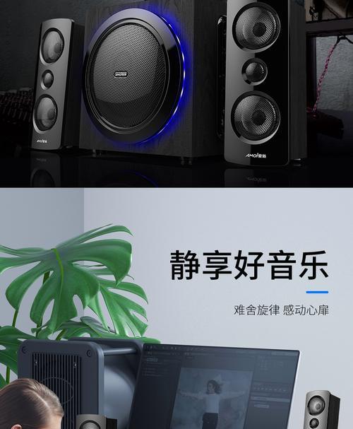 投影仪话筒声音失真解决方案（解决投影仪话筒声音失真的实用方法）