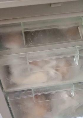 如何修复冰箱上的破洞（简单易学的修复方法）