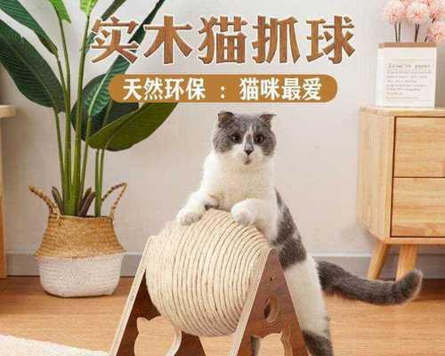 猫跑步机脱轨问题的解决方法（如何确保猫的安全和跑步机的正常运行）