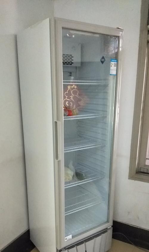 海尔立式冰柜清理方法（轻松掌握海尔立式冰柜的清洁技巧）