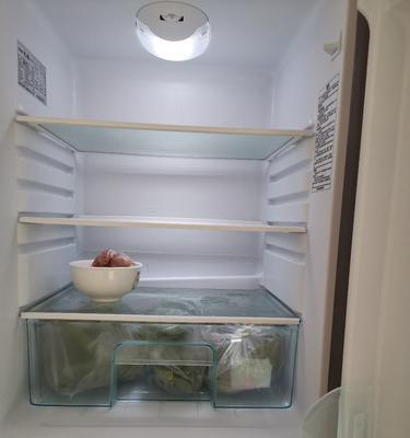 冰箱插上电外壳发烫的原因及解决方法（冰箱外壳发烫可能是由于散热问题所致）