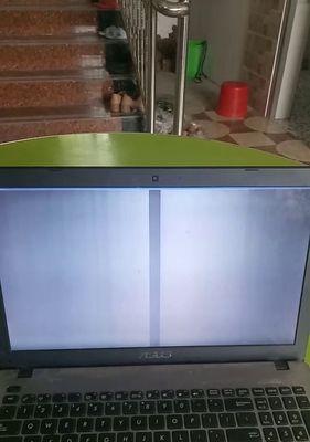电脑显示器白屏修理全指南（解决电脑显示器白屏问题的有效方法及技巧）