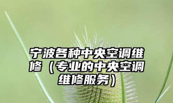 中央空调故障维修全攻略（解决中央空调故障的实用技巧）