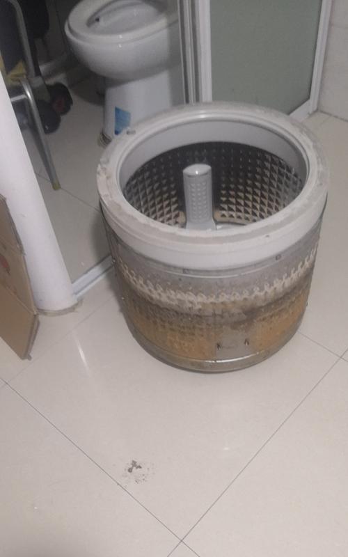 如何解决洗衣机不甩干的问题（解决洗衣机甩干问题的实用技巧）
