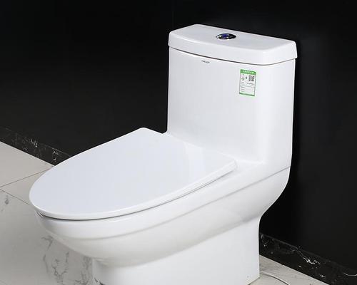 以法恩莎智能马桶盖喷头不出水的解决方法（如何应对以法恩莎智能马桶盖喷头不出水的常见问题）
