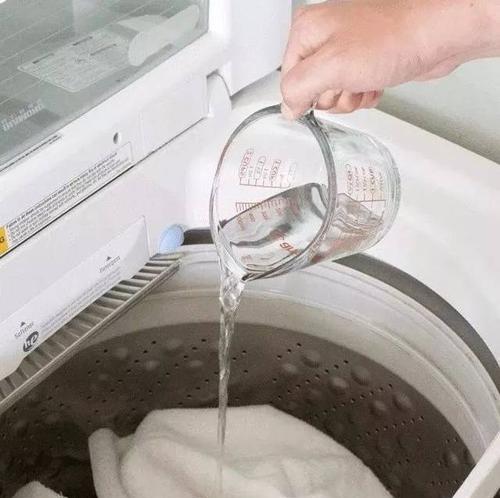 如何正确清洗手机和洗衣机？常见问题有哪些解决方法？
