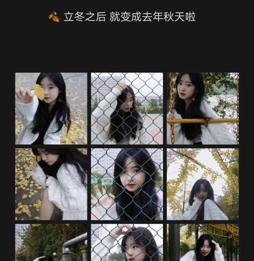 手机拍照技巧中护栏设置方法是什么？