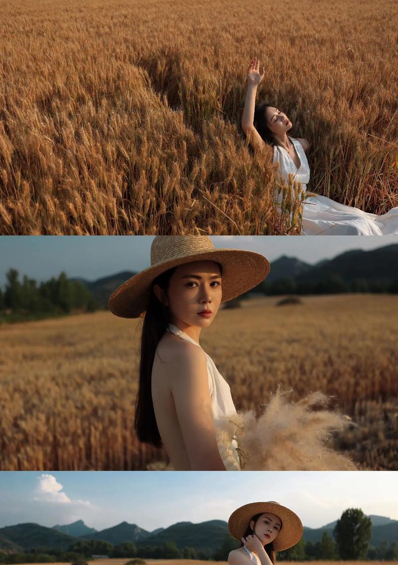 在麦田里手机怎么拍照？最佳拍摄技巧是什么？