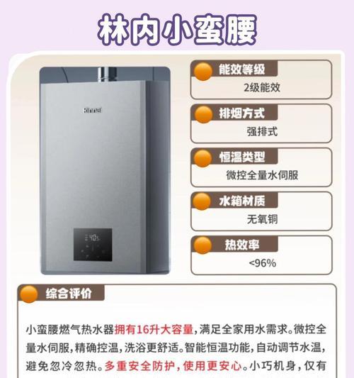 哪种燃气热水器具有净化功能？
