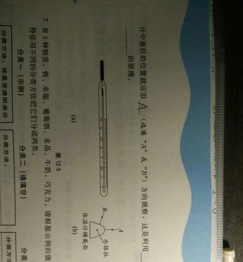 19世纪充电器的名称是什么？它的工作原理如何？