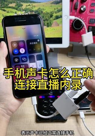 金泽直播在苹果手机上如何下载安装？下载过程中遇到问题怎么办？