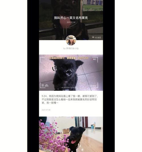 布莱克苹果手机怎么下载？下载过程中需要注意什么？