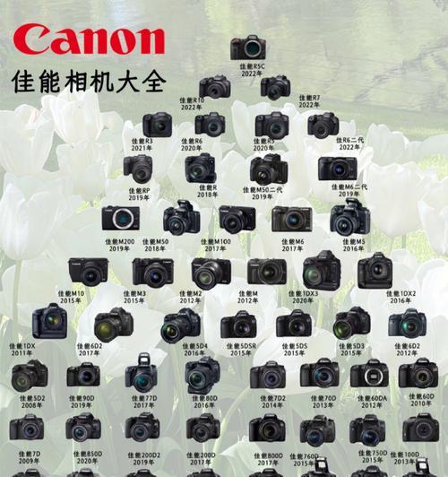 遇到佳能相机红灯报警应该怎么办？有哪些可能的原因？
