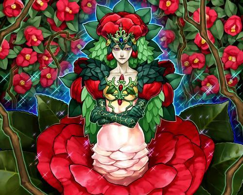妮姬国际服如何选择服务器？哪个服务器更适合？