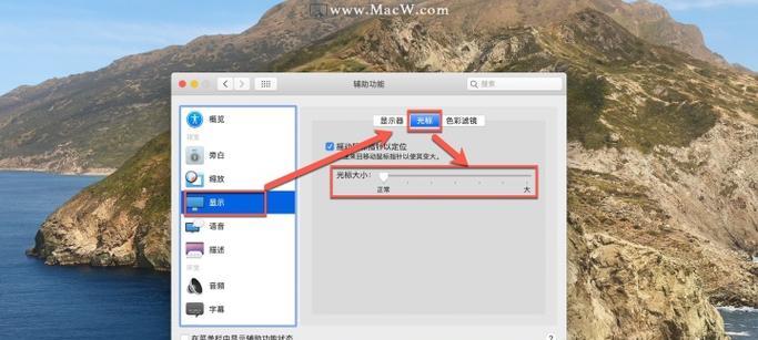 苹果鼠标在直播中如何使用？