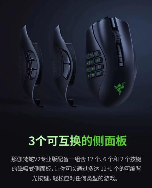 雷蛇鼠标驱动在哪里下载？安装步骤是什么？