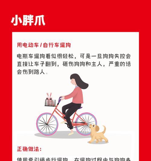 电瓶车遇到狗的应对方法是什么？应对后如何处理？