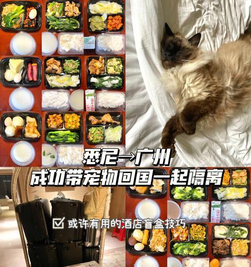 电视机下方盲盒安装方法是什么？安装后如何使用？