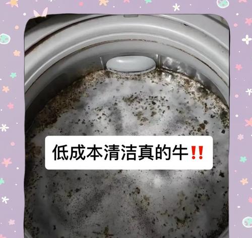 如何正确清洗洗衣机外桶（清洁外桶是保持洗衣机性能的关键）