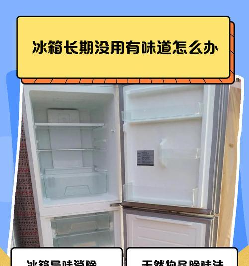 冰箱异味的原因及去除方法（解决冰箱异味问题的有效技巧与建议）