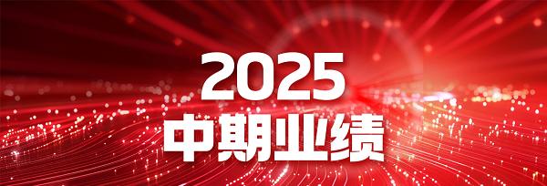 破局而立，向智而行——长虹佳华 2025 中期业绩背后的增长逻辑