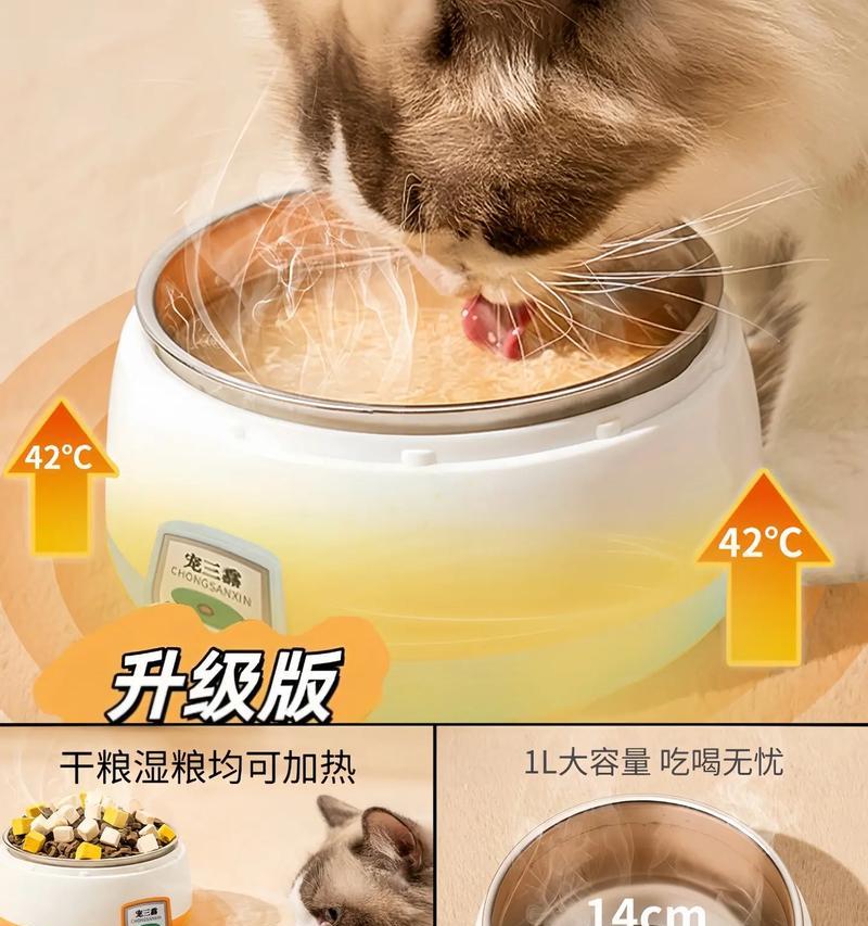 如何彻底清洗猫咪饮水机（简单有效的清洗方法及注意事项）